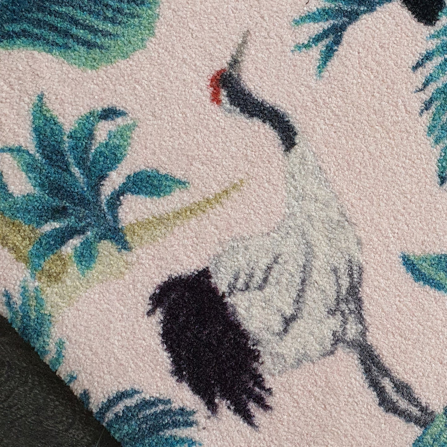 Close up of tropical bird and plants on pink mat
